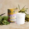 AF-Lifestyle-box-lit_1800x1800