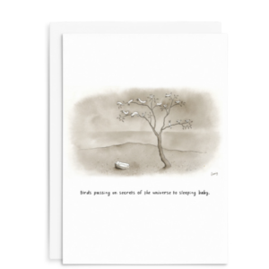 Leunig All Occasions Greeting Card - Birds Passing On Secrets Of The Universe to Sleeping Baby